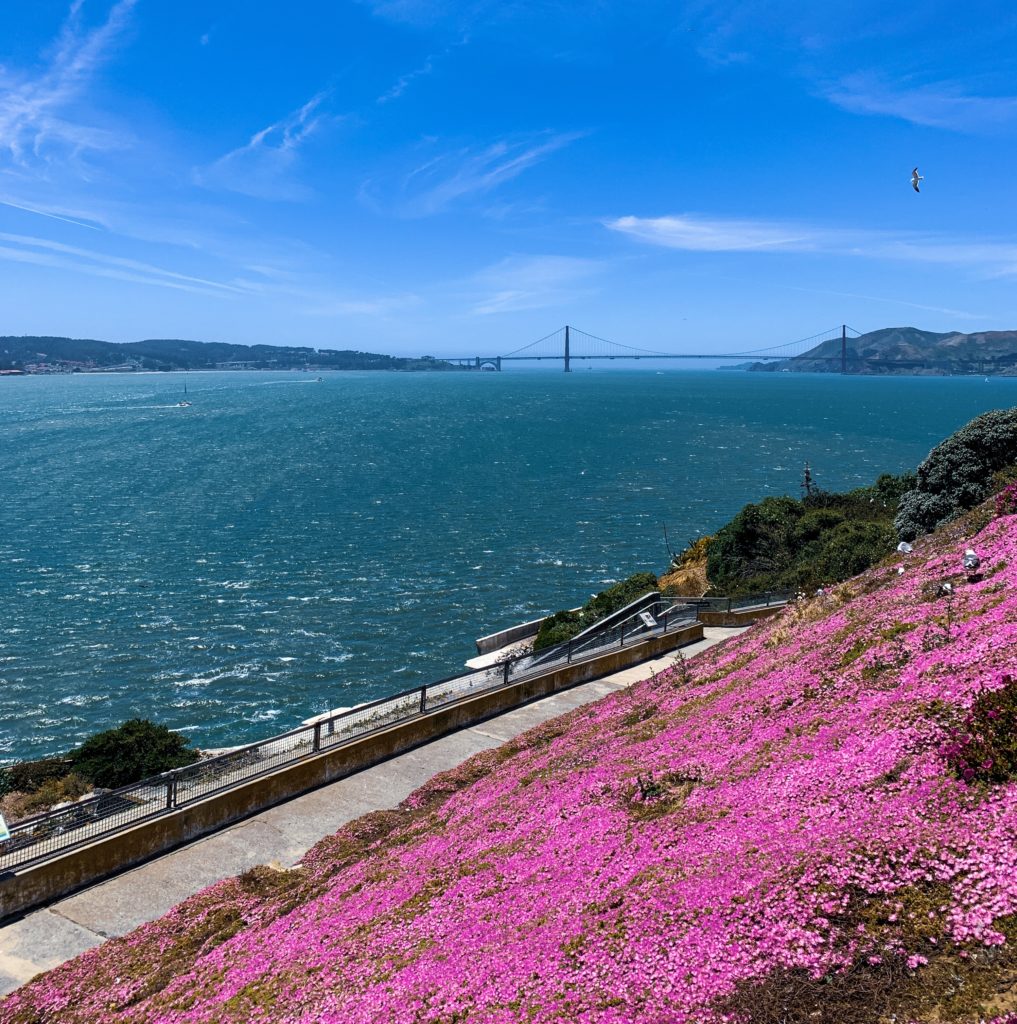 Alcatraz'dan Golden Gate'e baış